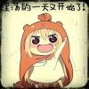 喵喵喵喵喵喵☀