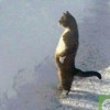 风华燃尽↣指间沙