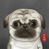 周小黑