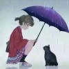 阿斯顿沸腾鱼
